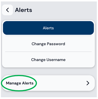 Manage Alerts